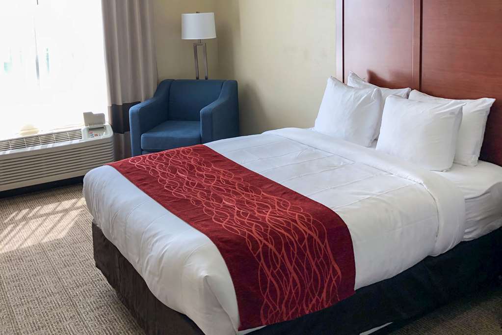 Comfort Inn & Suites Nashville Franklin Cool Springs Quarto foto